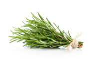 Rosemary Leaves (Holland)